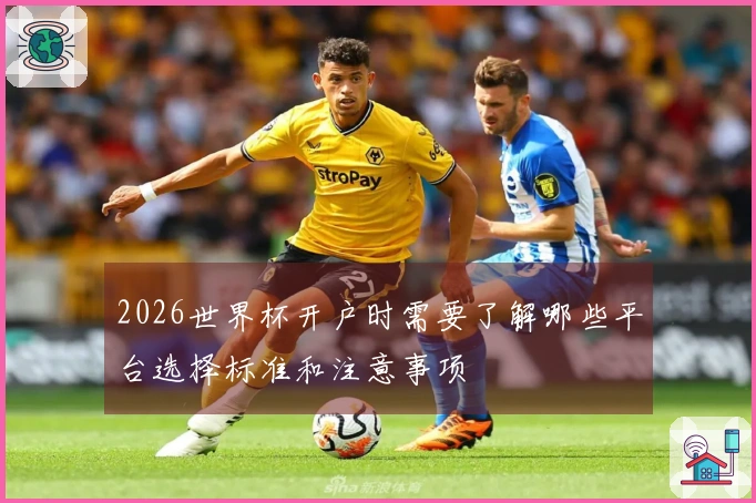2026世界杯开户时需要了解哪些平台选择标准和注意事项