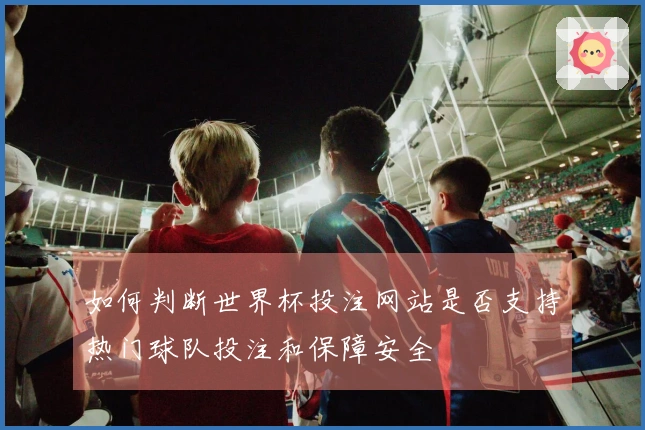 如何判断世界杯投注网站是否支持热门球队投注和保障安全