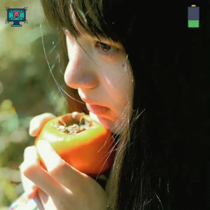 王洋球迷